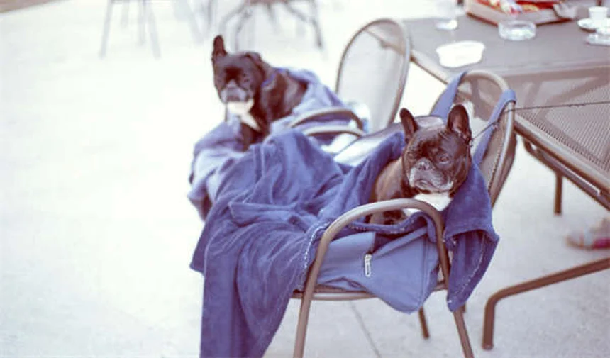 Type 1 Diabetes Weight Management: 5 Essential Tips Backed by Research