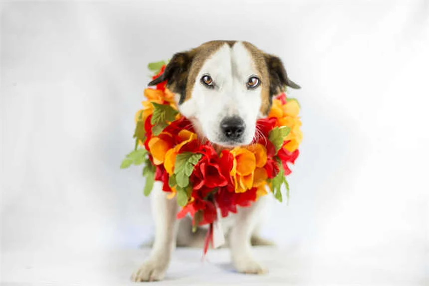 Diabetes and Mental Health: The Shocking Connection You Need to Know